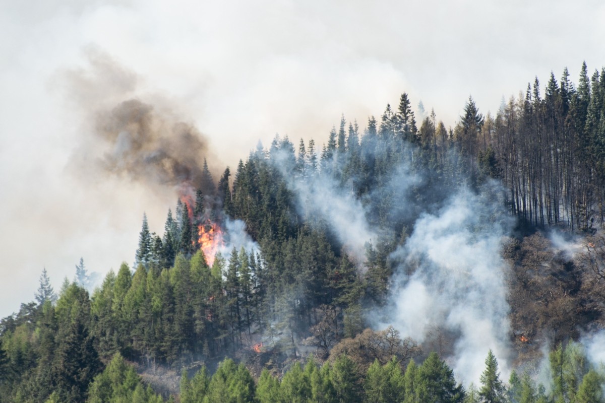 Wildfires spread rapidly, communities evacuated